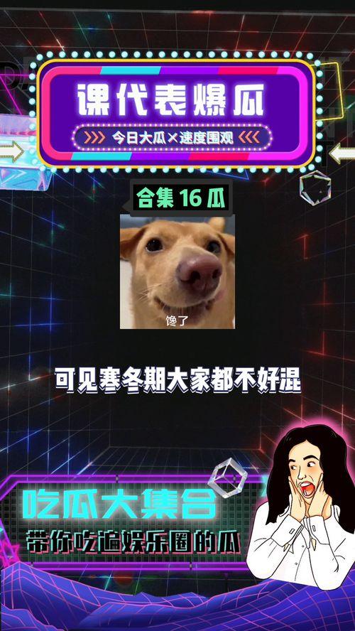 吃瓜八卦娱乐群,吃瓜八卦群背后的秘密与真相