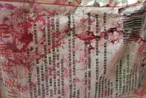 娱乐观察吃毒瓜,毒瓜事件背后的真相与反思