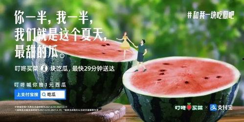 娱乐吃瓜简介文案,吃瓜群众必备的娱乐八卦速览