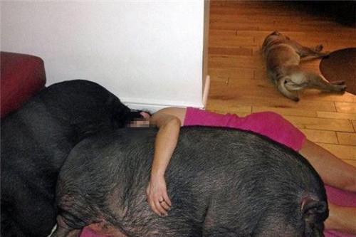 娱乐吃瓜酱女生走向世界,女生如何走向世界舞台