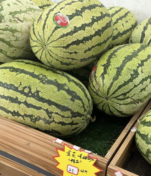 娱乐吃瓜酱重庆山东,揭秘重庆与山东的美食文化碰撞