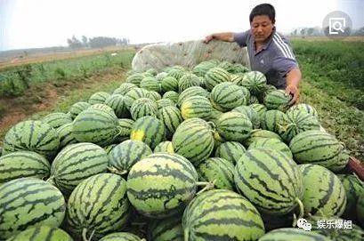 娱乐爆吃瓜,明星们的“吃货”日常大揭秘