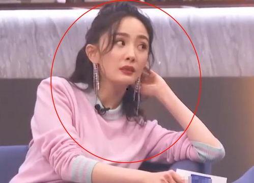 娱乐吃瓜晨晨,娱乐圈最新热点大揭秘