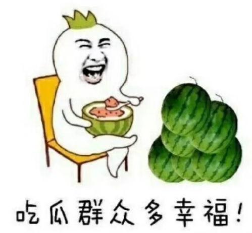 娱乐圈的吃瓜鹅,揭秘“吃瓜鹅”背后的八卦盛宴