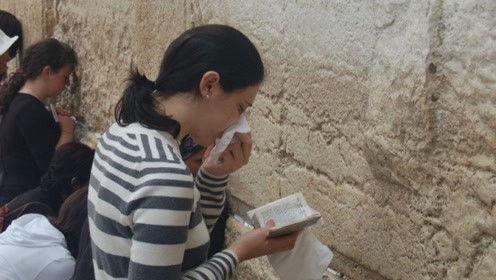 娱乐吃瓜君虐猫