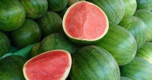 吃瓜娱乐营养,营养生活新风尚