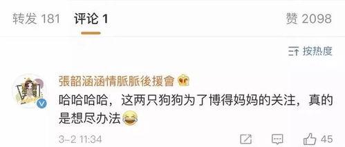 娱乐718吃瓜网网址,揭秘娱乐圈最新热点，带你畅游八卦世界