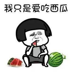 娱乐吃瓜中,揭秘明星幕后故事，吃瓜群众狂欢时刻