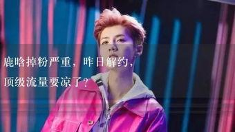 娱乐吃瓜酱你经历过,我的奇遇与感悟