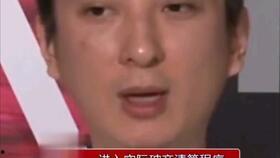 娱乐吃瓜熊猫视频,趣味视频背后的故事